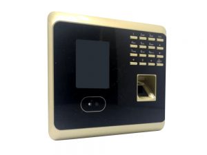 MA 10W-Time Attendance