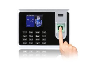 MA50-Time Attendance